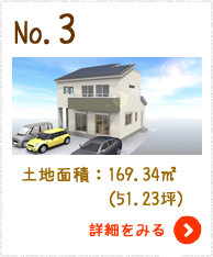 No.3