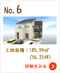No.6