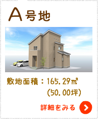 A号地