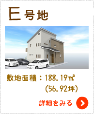 E号地