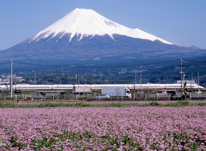 移住・定住イメージ画像